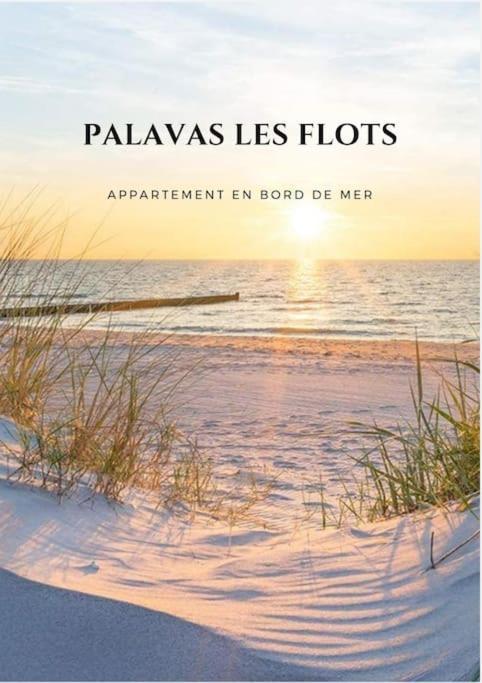 Appartement Palavas Les Flots T2 + Parking Prive Εξωτερικό φωτογραφία